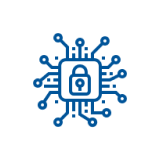 Cyber Security and Risk Advisory